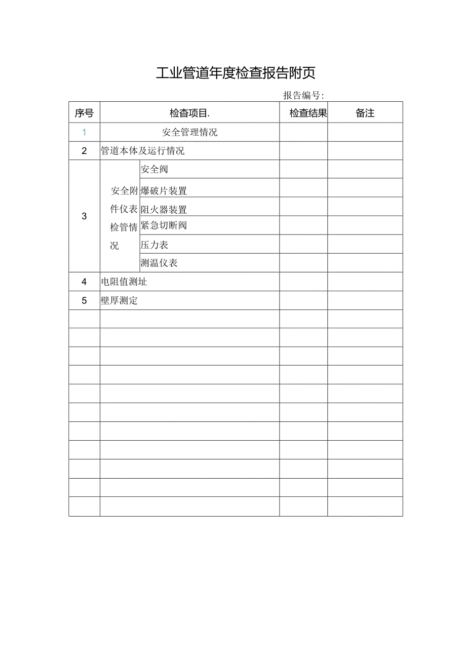 工业管道年度检查报告附页.docx_第1页