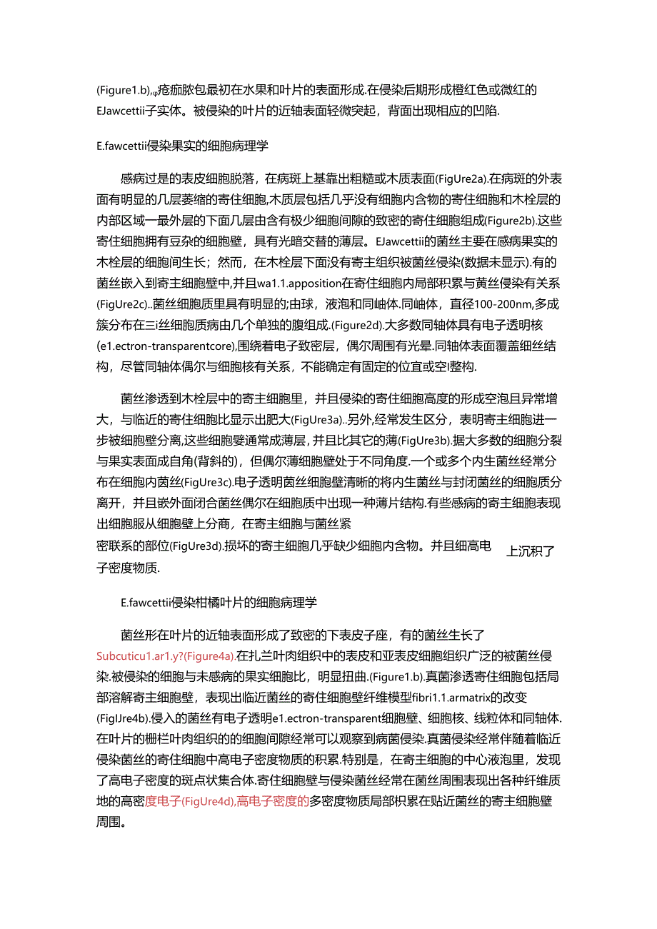 疮痂病斑部位柑橘木栓层形成的细胞学和Elsinoe fawcettii的生长抑制.docx_第3页