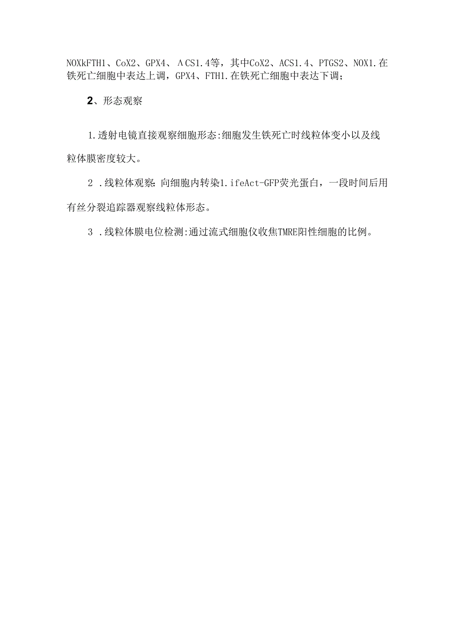 铁死亡的基本特征及检测方法.docx_第3页