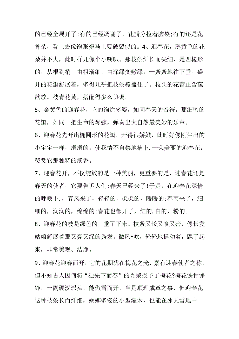 关于迎春花的话.docx_第2页