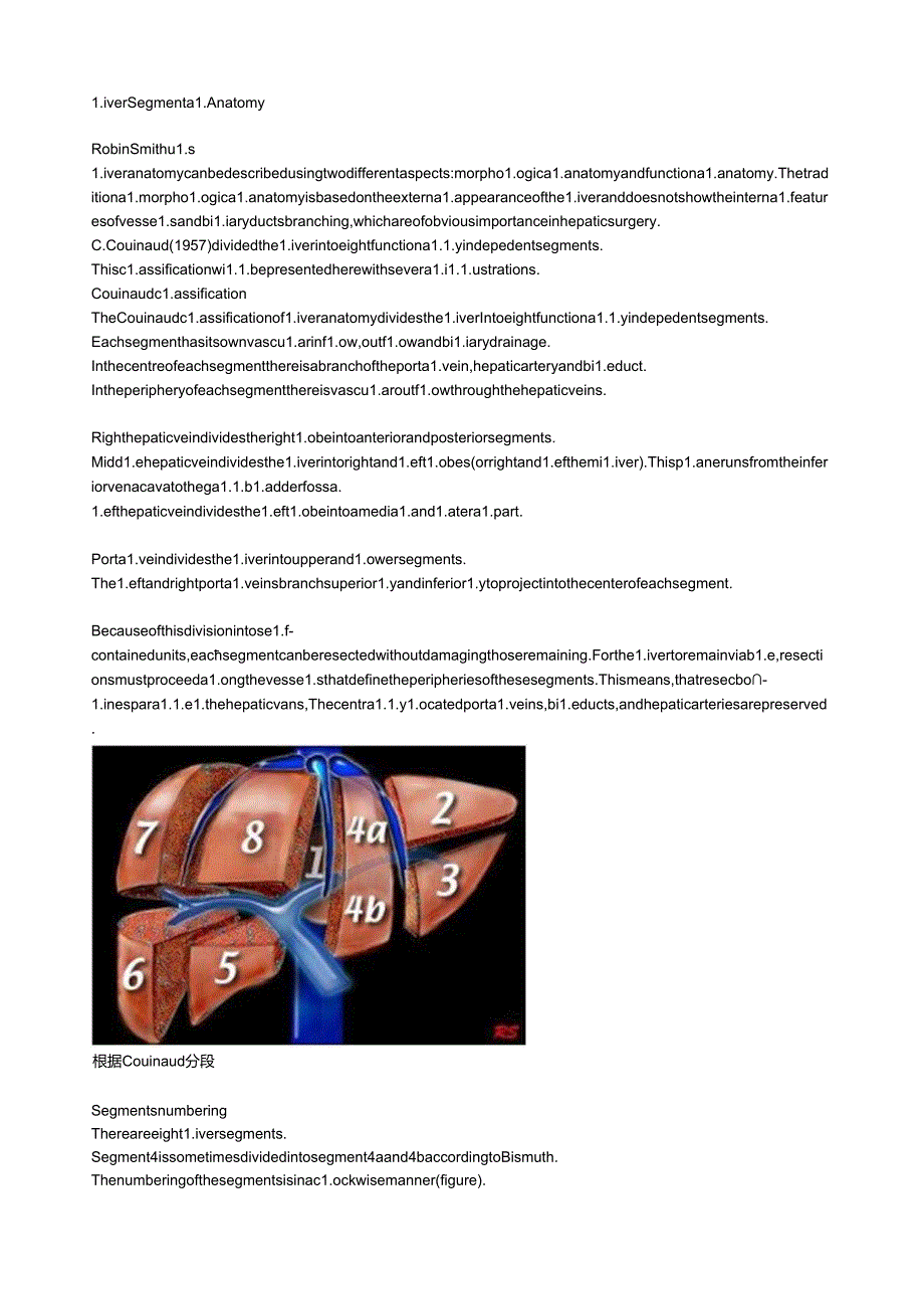 肝脏分叶精美图解.docx_第1页