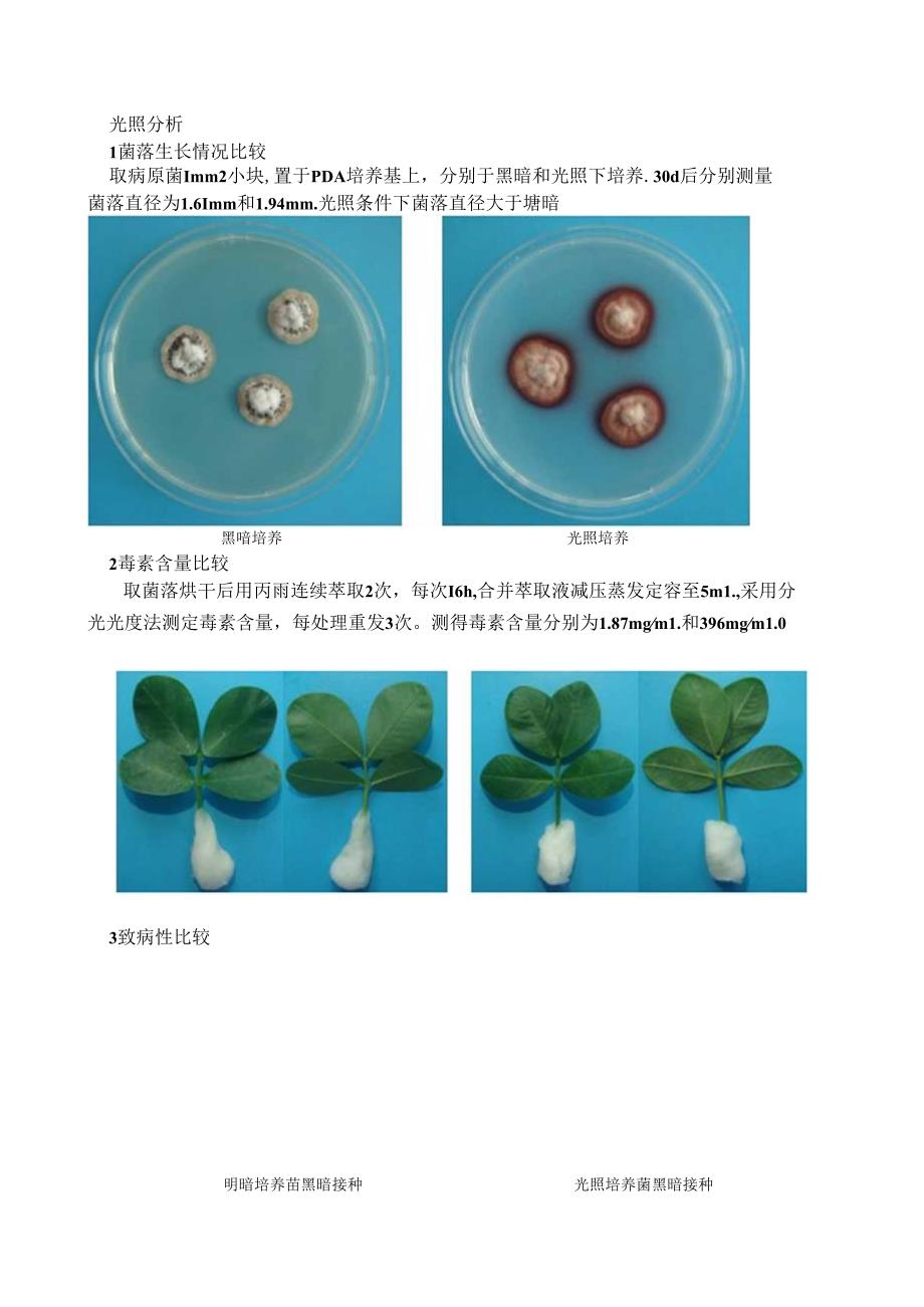 光照分析1菌落生长情况比较取病原菌.docx_第1页