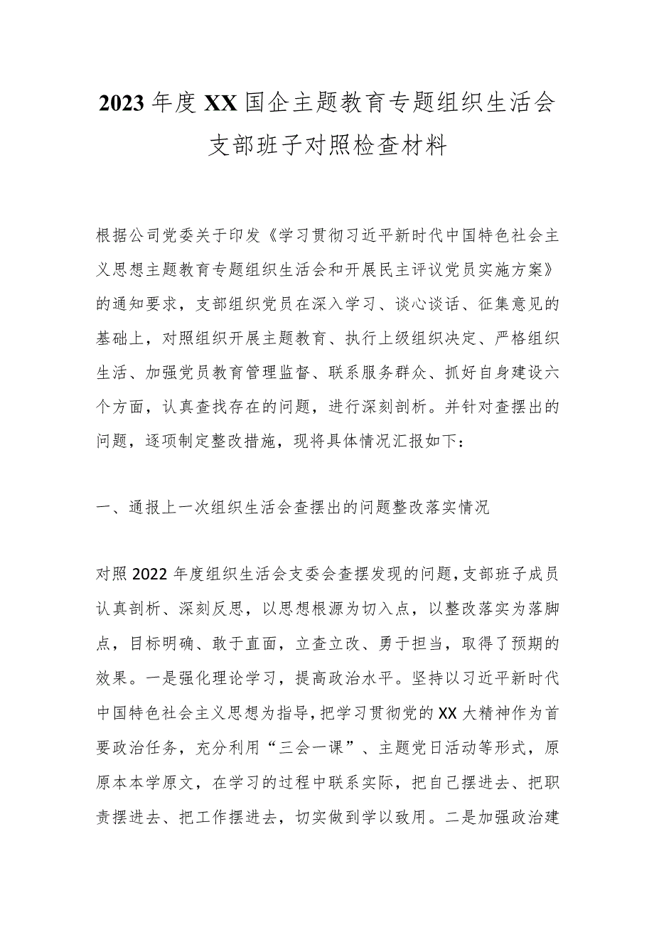 2023年度XX国企主题教育专题组织生活会支部班子对照检查材料.docx_第1页