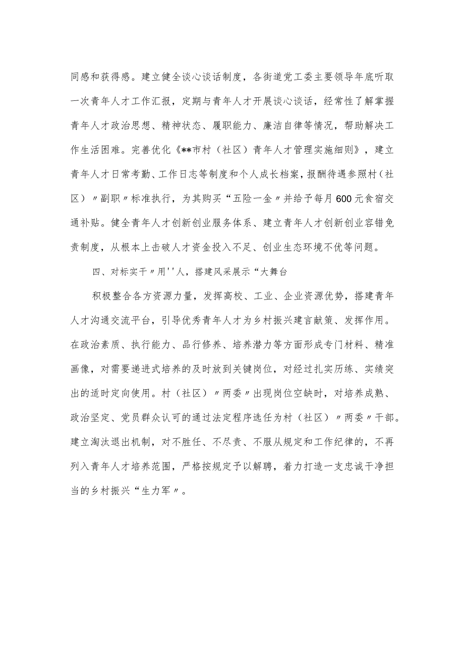 乡村振兴青年人才队伍建设工作总结.docx_第2页