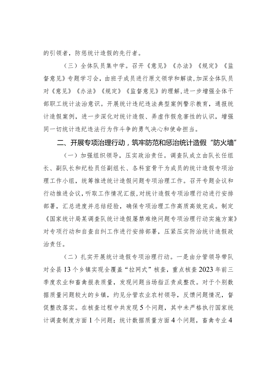 某某调查队防范和惩治统计造假、弄虚作假工作情况报告.docx_第2页