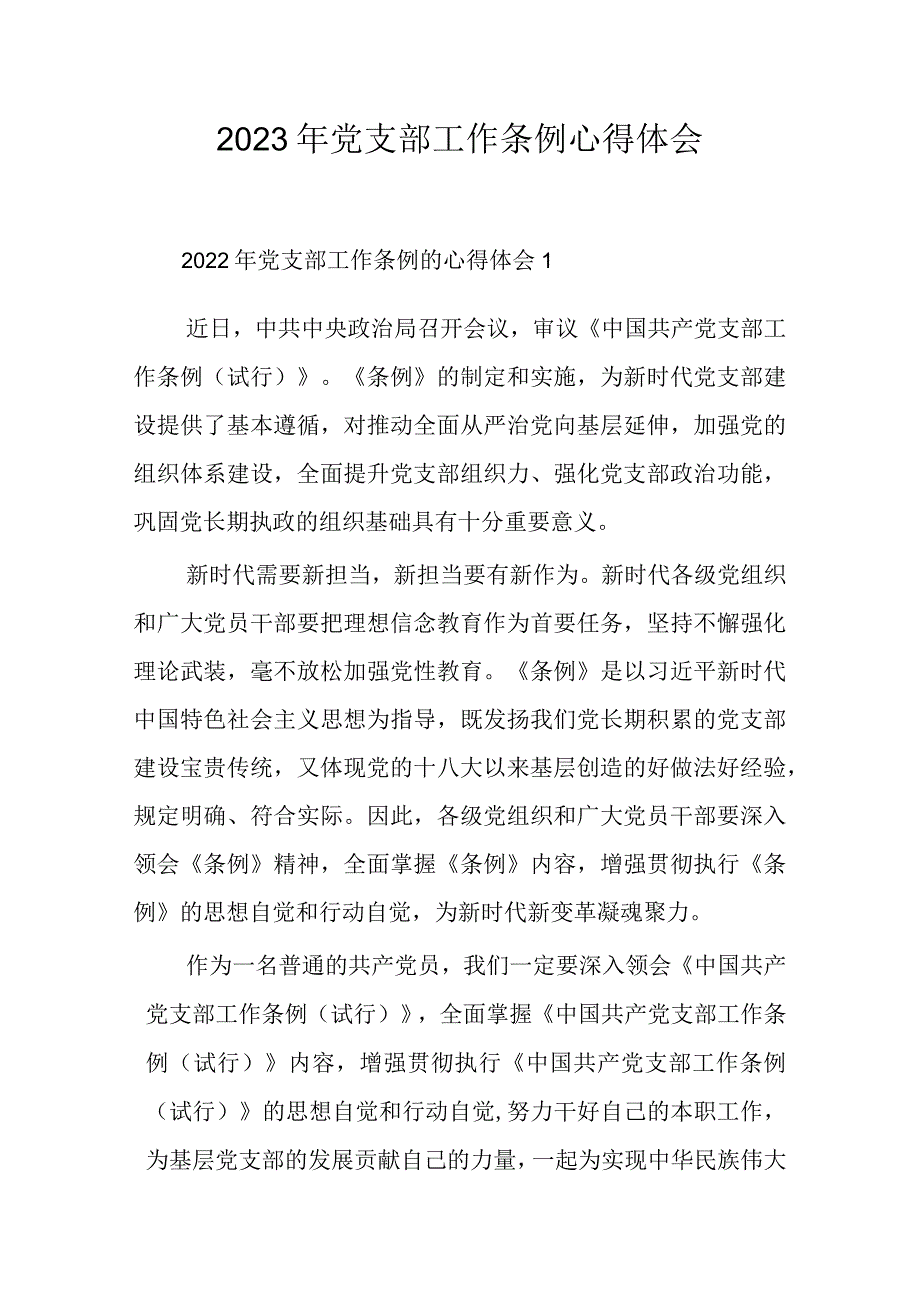 2023年党支部工作条例心得体会.docx_第1页