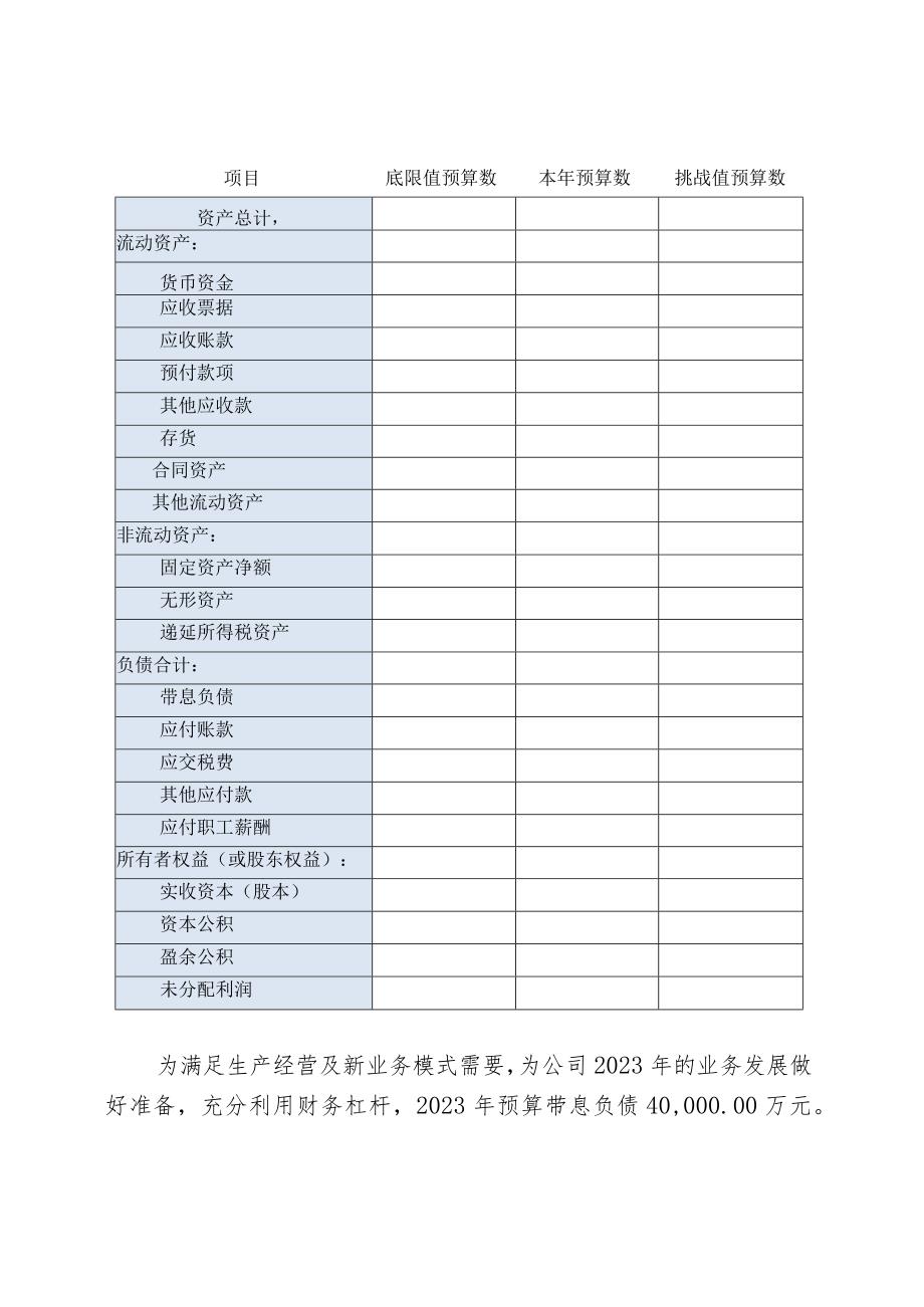 2023年财务预算报告.docx_第2页