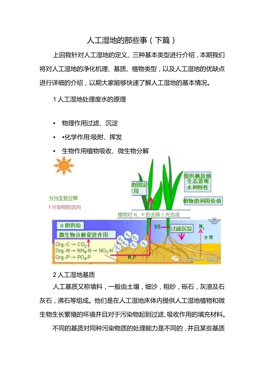 人工湿地的那些事（下篇）.docx_第1页