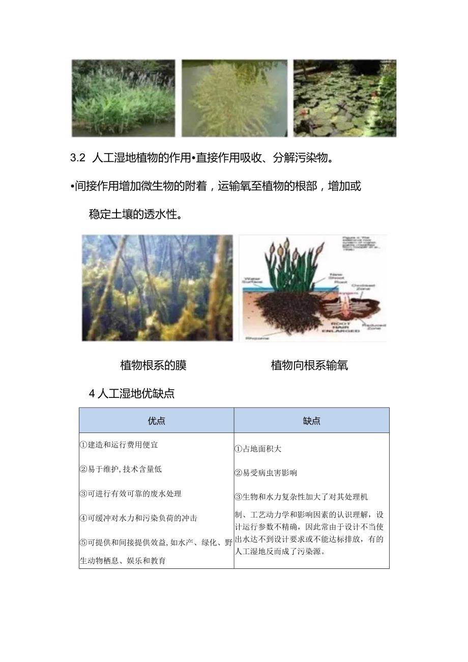 人工湿地的那些事（下篇）.docx_第3页