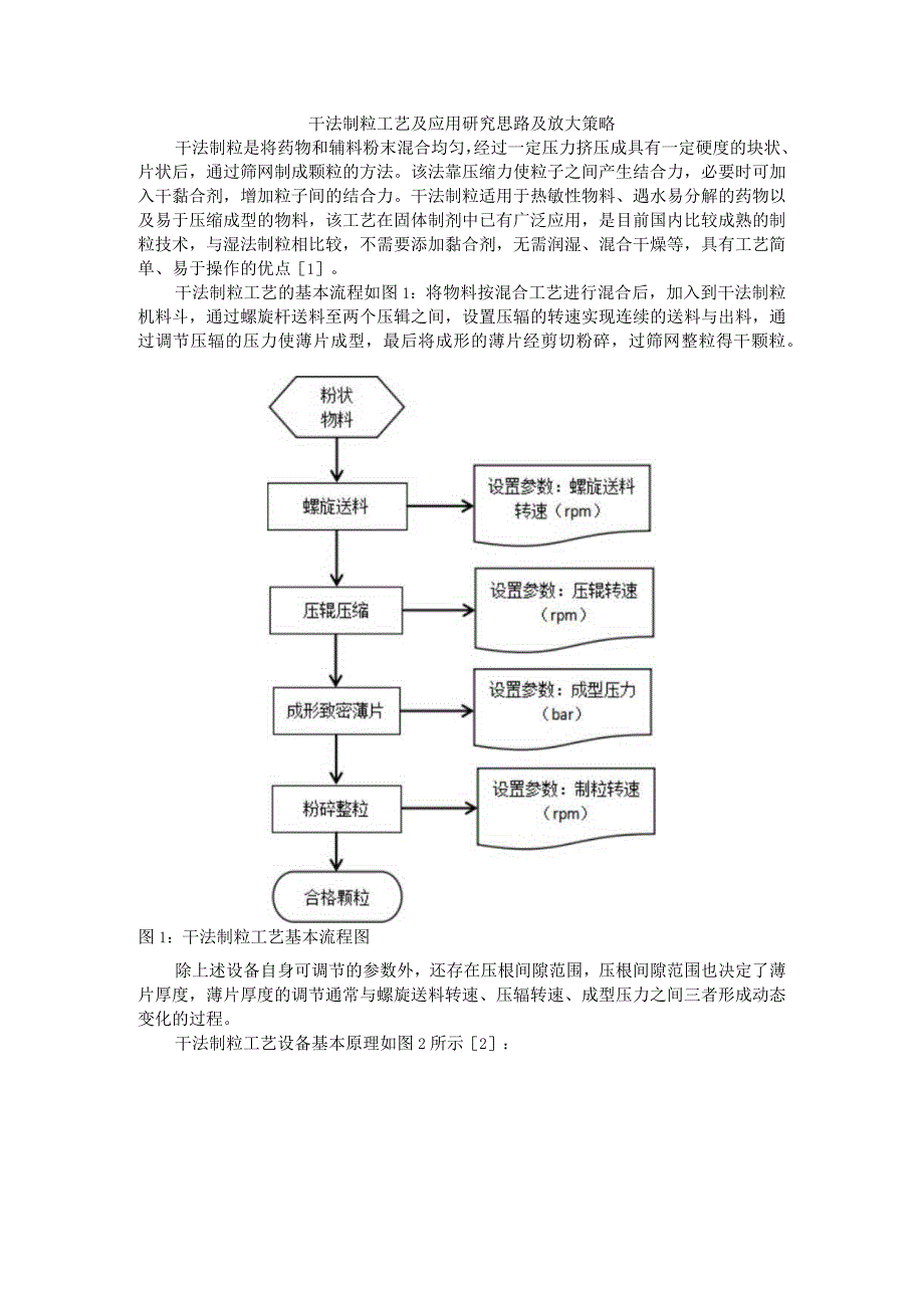 干法制粒工艺及应用研究思路与放大策略.docx_第1页