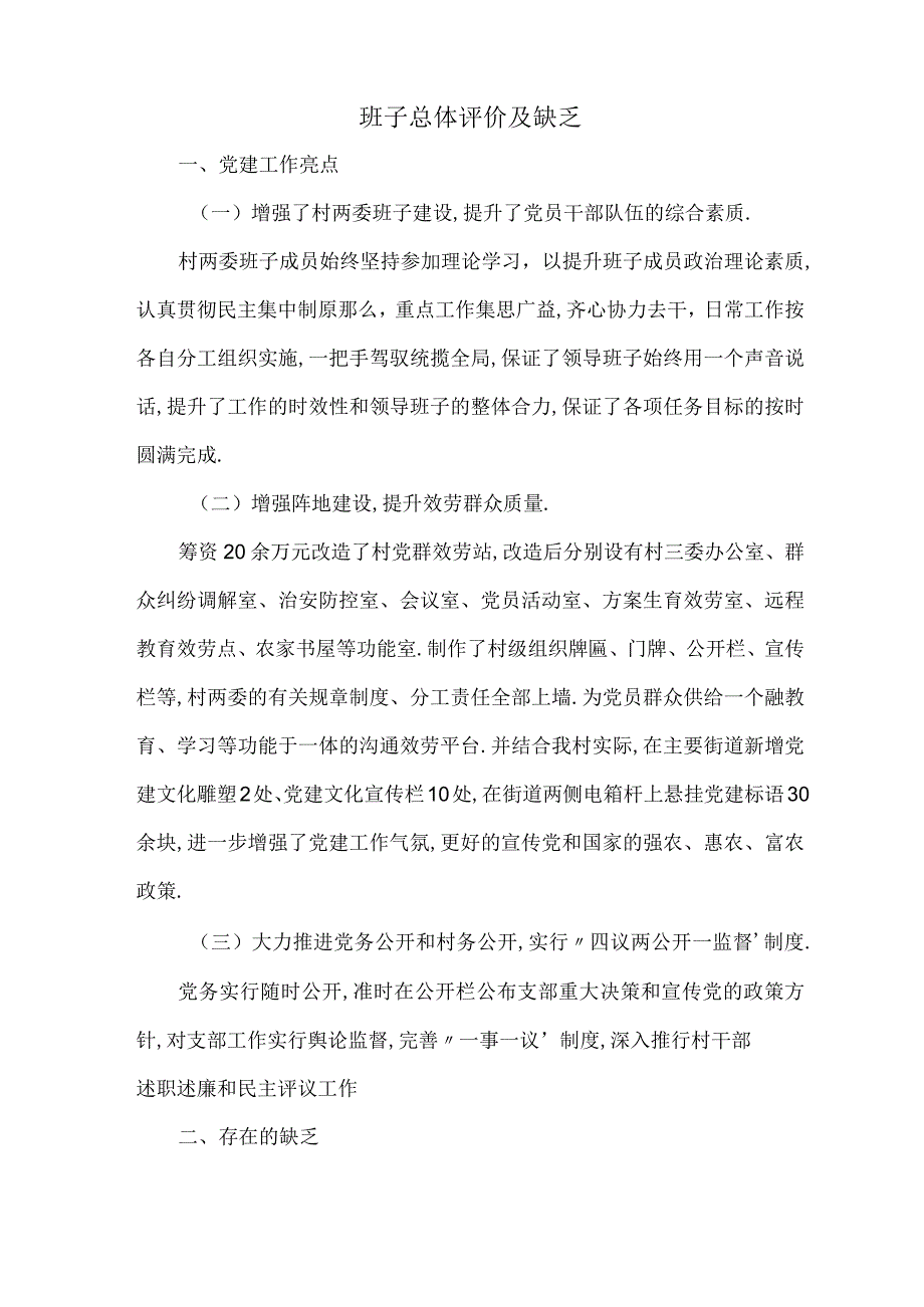 班子总体评价及不足.docx_第1页