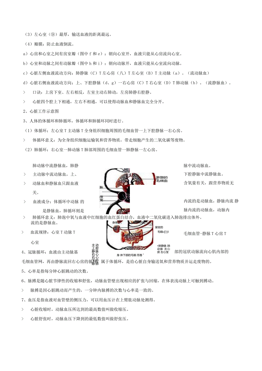 3人体内的物质运输（原卷版）.docx_第2页