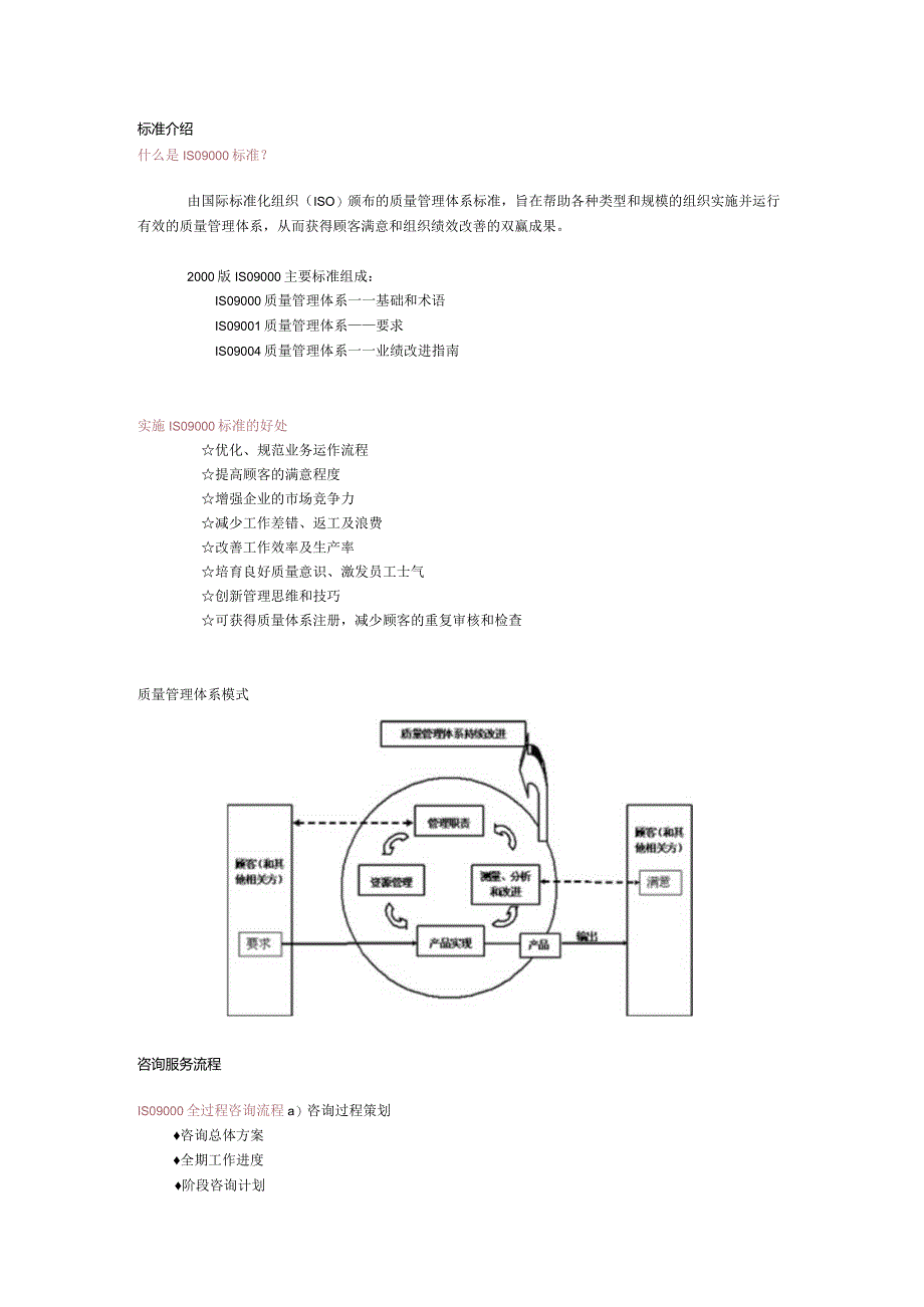 ISO9000全过程咨询流程.docx_第1页