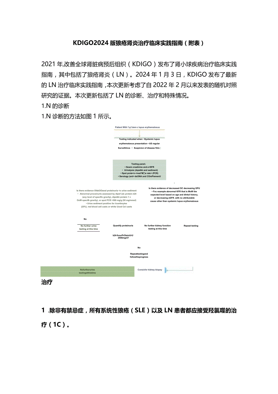 KDIGO2024版狼疮肾炎治疗临床实践指南（附表）.docx_第1页