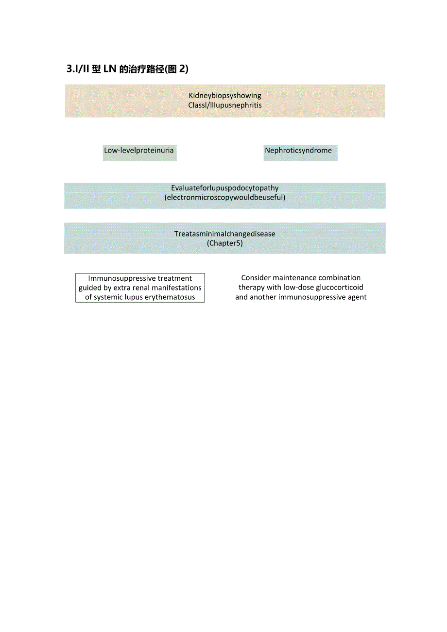 KDIGO2024版狼疮肾炎治疗临床实践指南（附表）.docx_第3页