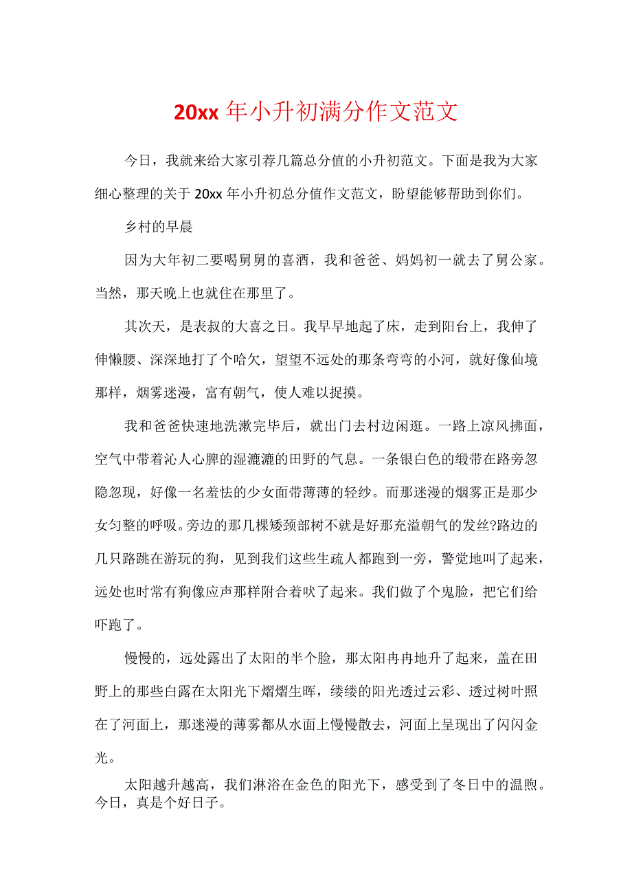 20xx年小升初满分作文范文.docx_第1页