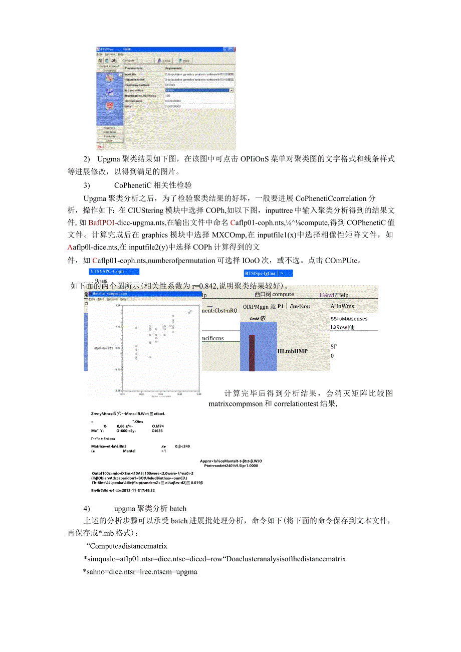 NTSYS软件ISSR以及SSR数据处理使用说明.docx_第3页