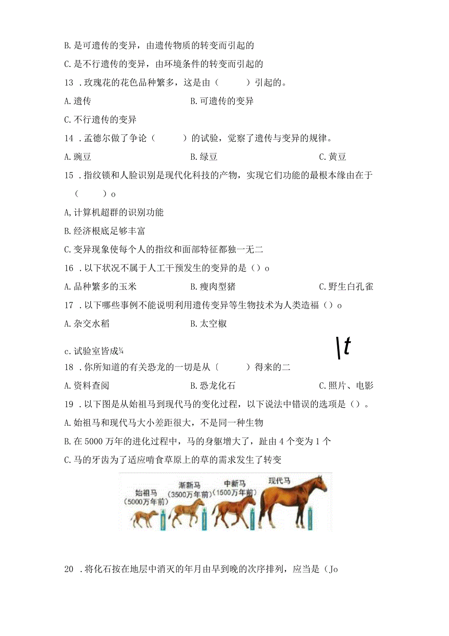 《2023学年度第一学期期中学业水平监测6年级科学》期中检测.docx_第3页