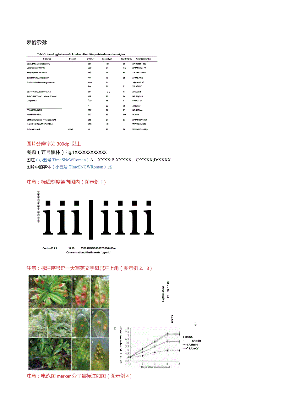 《植物病理学报》论文投稿模板.docx_第3页