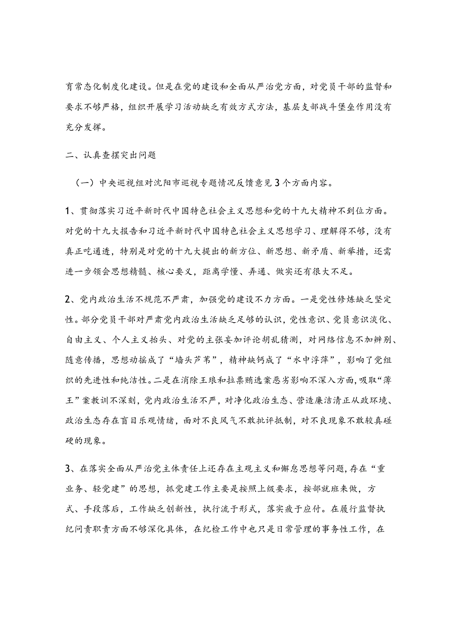 中央巡视反馈意见整改落实专题民主生活会领导班子对照检查材料.docx_第2页