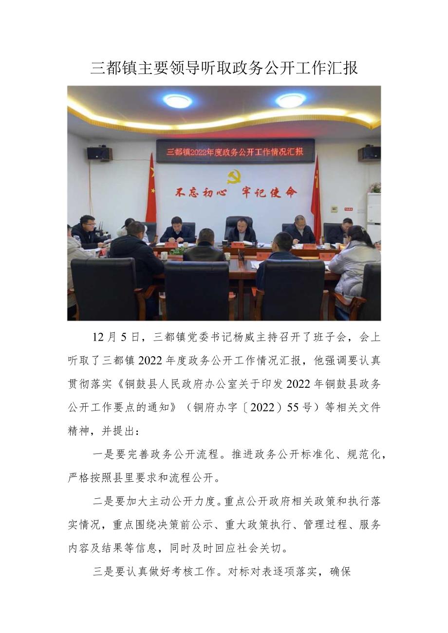 三都镇主要领导听取政务公开工作汇报.docx_第1页