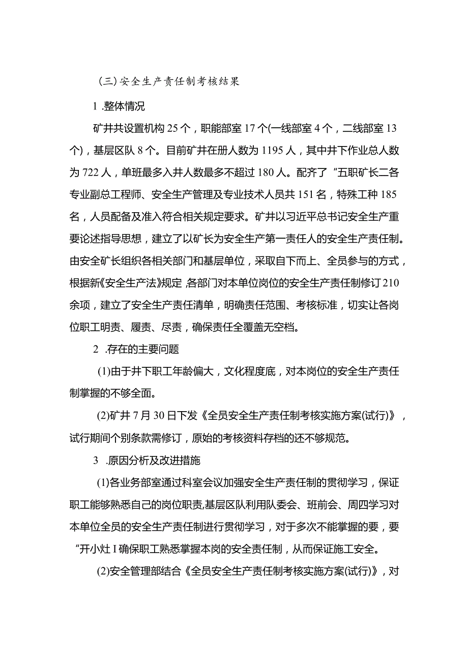 年度安全生产标准体系运行分析报告.docx_第3页