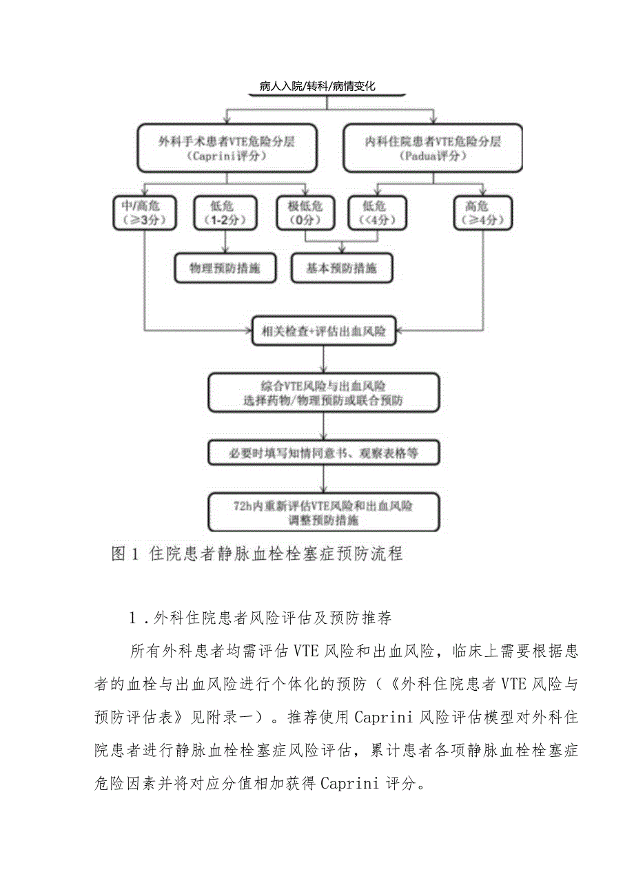 医院静脉血栓栓塞症（VTE）防治管理制度（红头文件）.docx_第3页