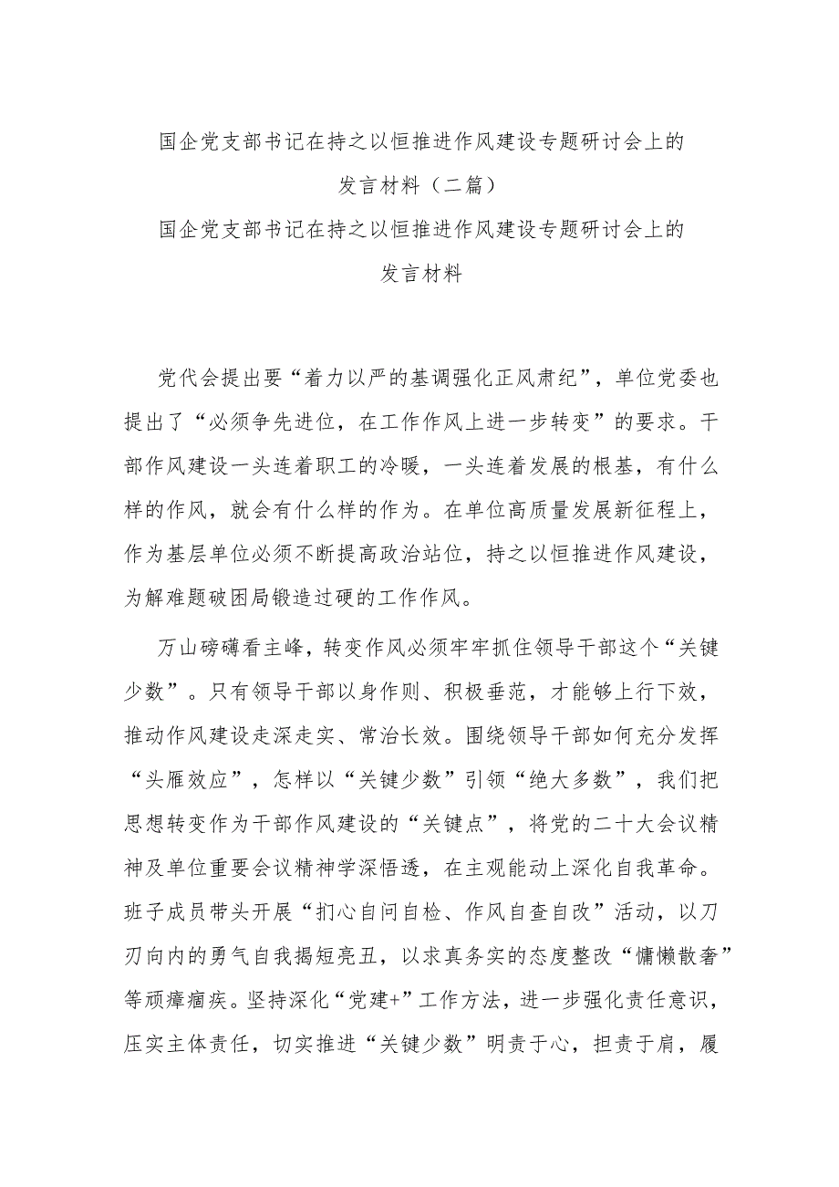 国企党支部书记在持之以恒推进作风建设专题研讨会上的发言材料(二篇).docx_第1页