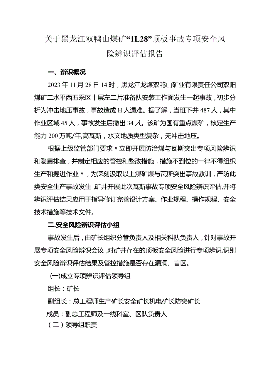 关于黑龙江双鸭山煤矿“11.28”顶板事故专项安全风险辨识评估报告.docx_第1页