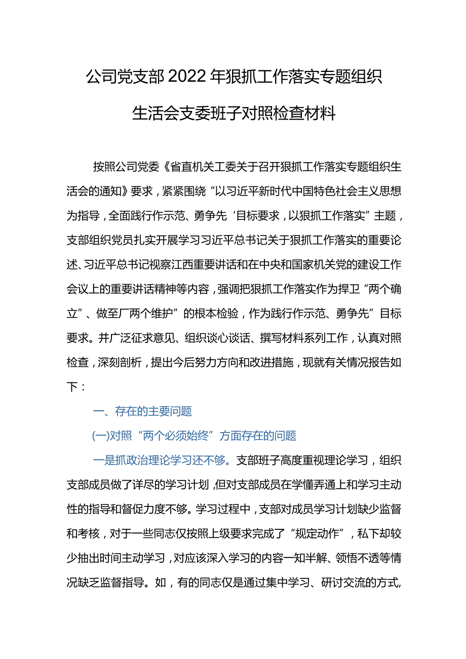 公司党支部2022年狠抓工作落实专题组织生会支委班子对照材料.docx_第1页