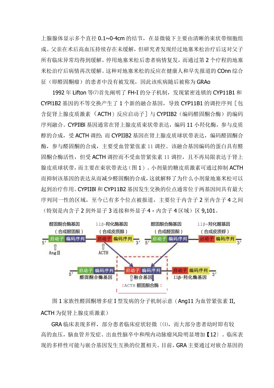 家族性醛固酮增多症研究现状与思考.docx_第2页