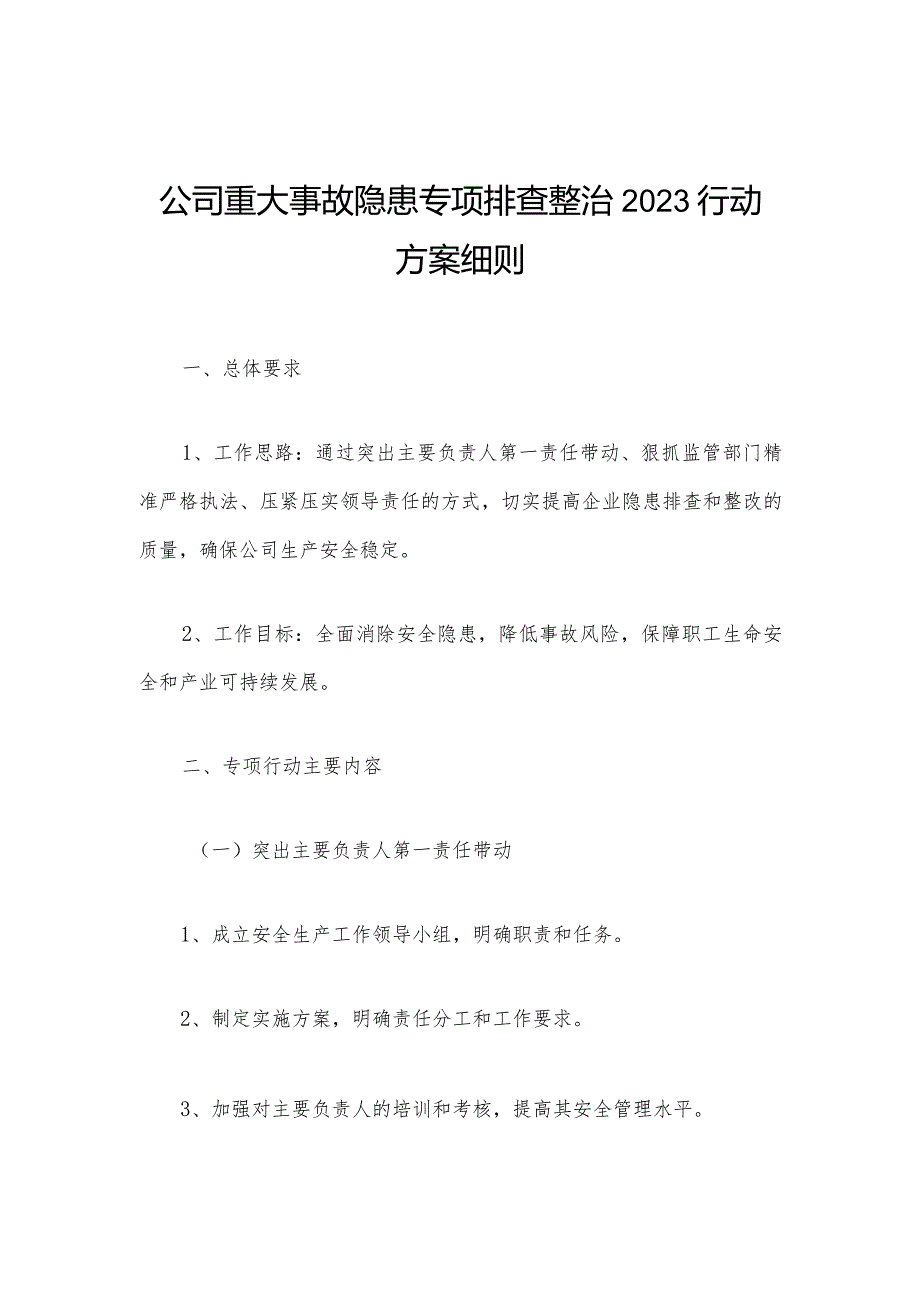 公司重大事故隐患专项排查整治2023行动方案细则.docx_第1页