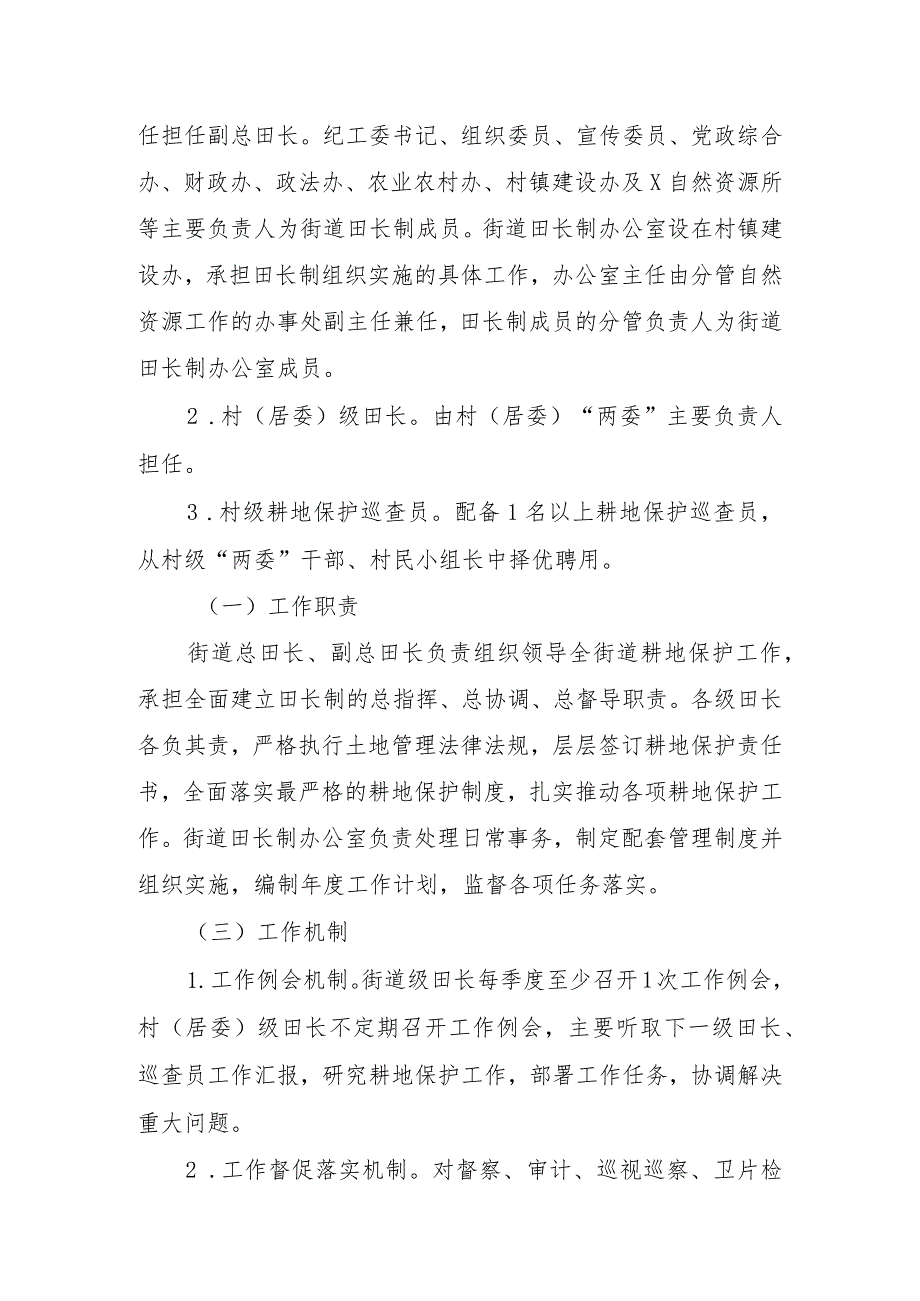 关于全面推行田长制落实最严格的耕地保护制度的实施方案.docx_第2页