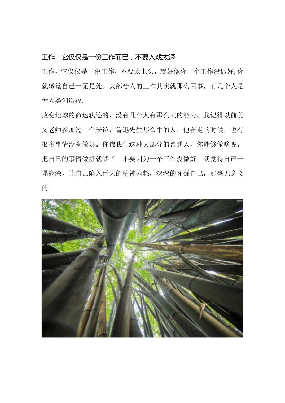 工作它仅仅是一份工作而已不要入戏太深.docx_第1页