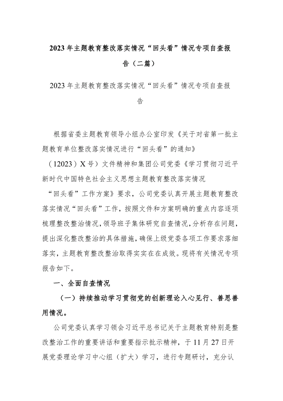 2023年主题教育整改落实情况“回头看”情况专项自查报告(二篇).docx_第1页