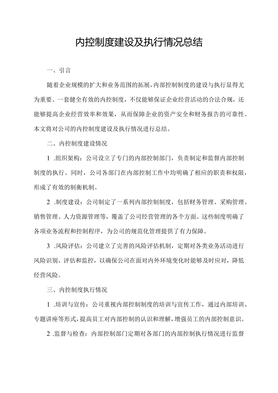 内控制度建设及执行情况总结.docx_第1页