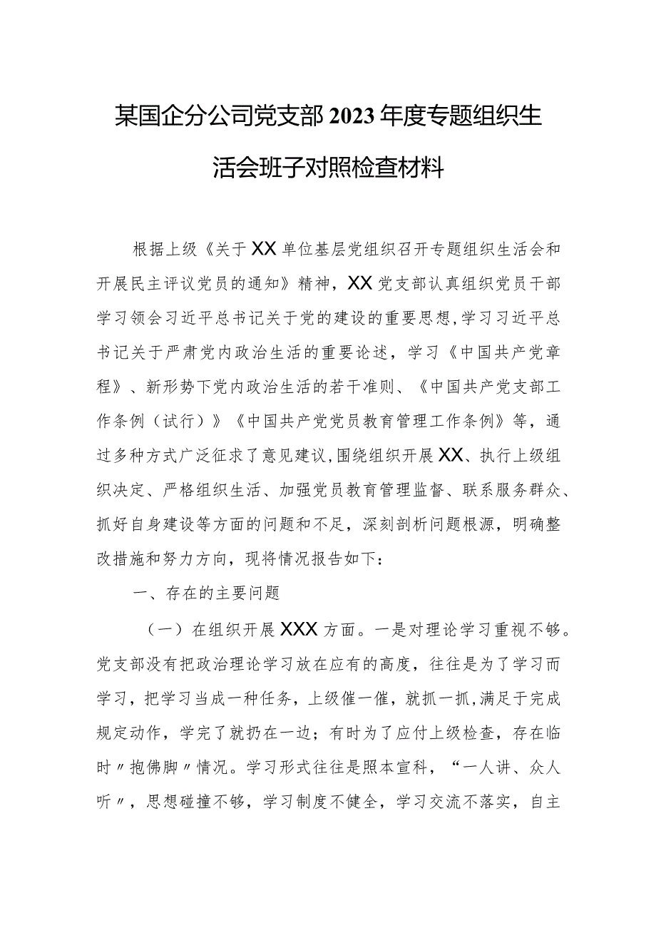 某国企分公司党支部2023年度专题组织生活会班子对照检查材料.docx_第1页