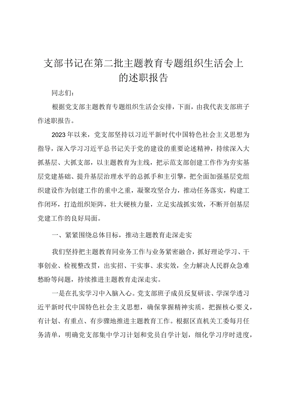 支部书记在第二批主题教育专题组织生活会上的述职报告（范文）.docx_第1页