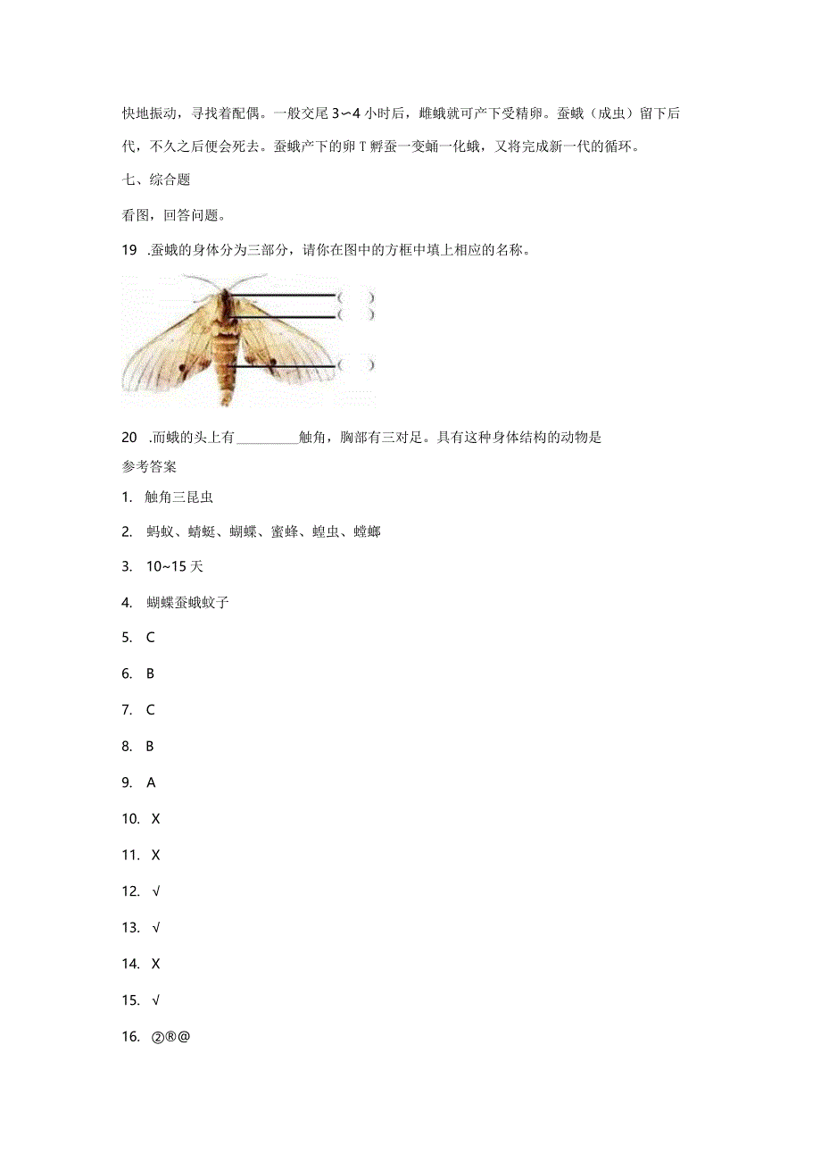 2-5茧中钻出了蚕蛾（练习）-2021-2022学年科学三年级下册.docx_第3页