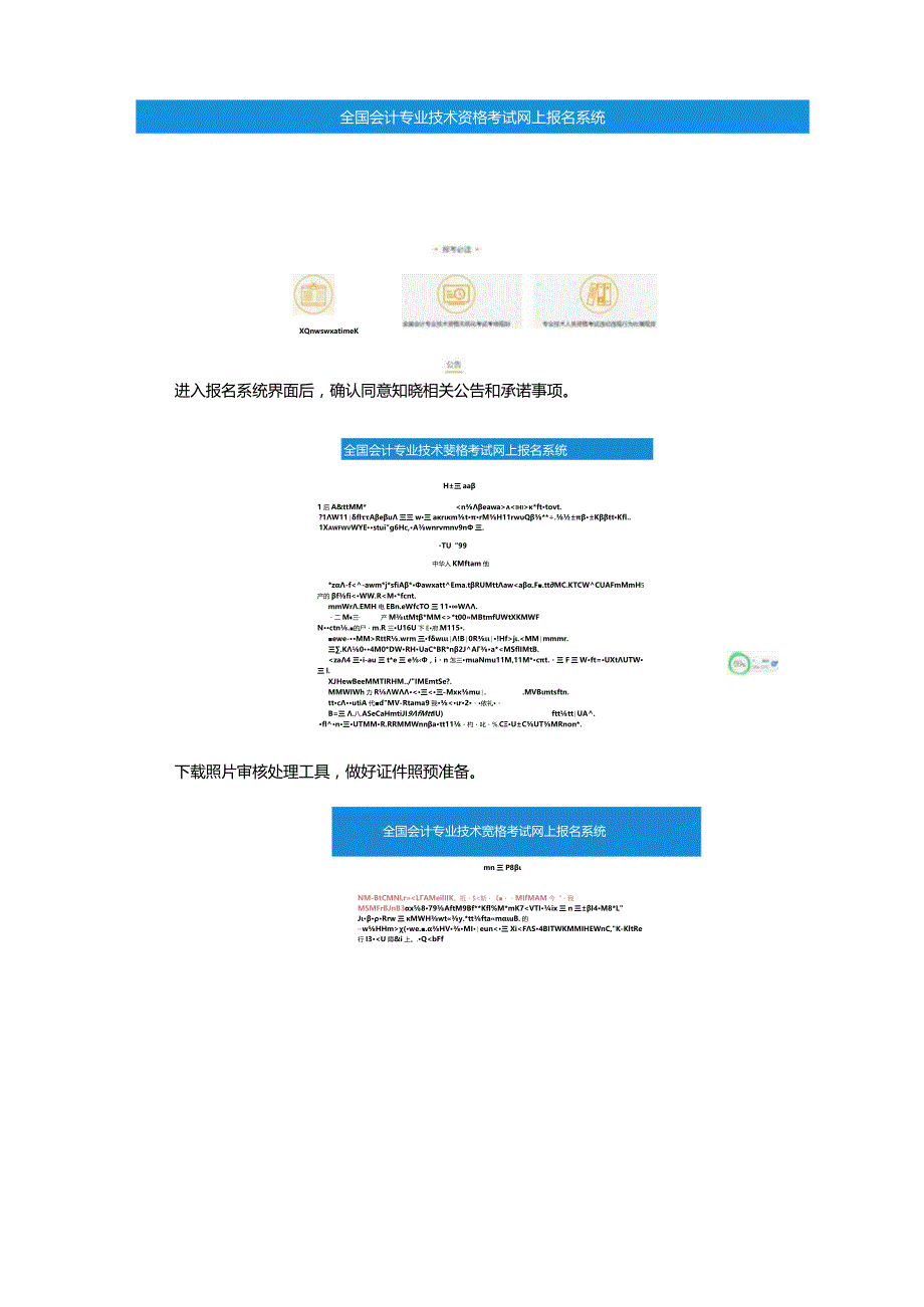 初级会计资格考试报名操作手册.docx_第2页