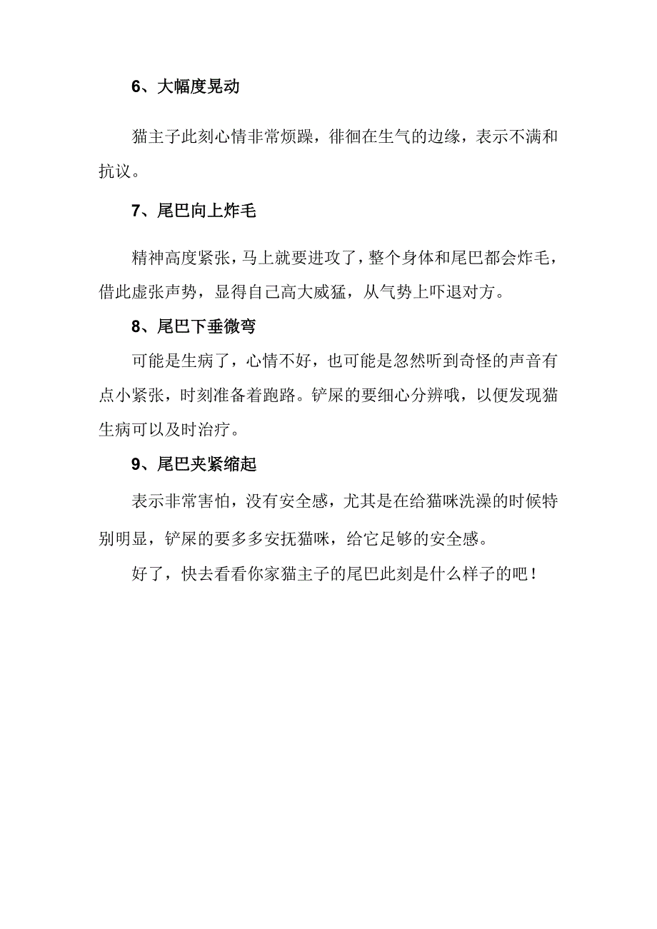 猫咪行为解读-尾巴的学问.docx_第2页