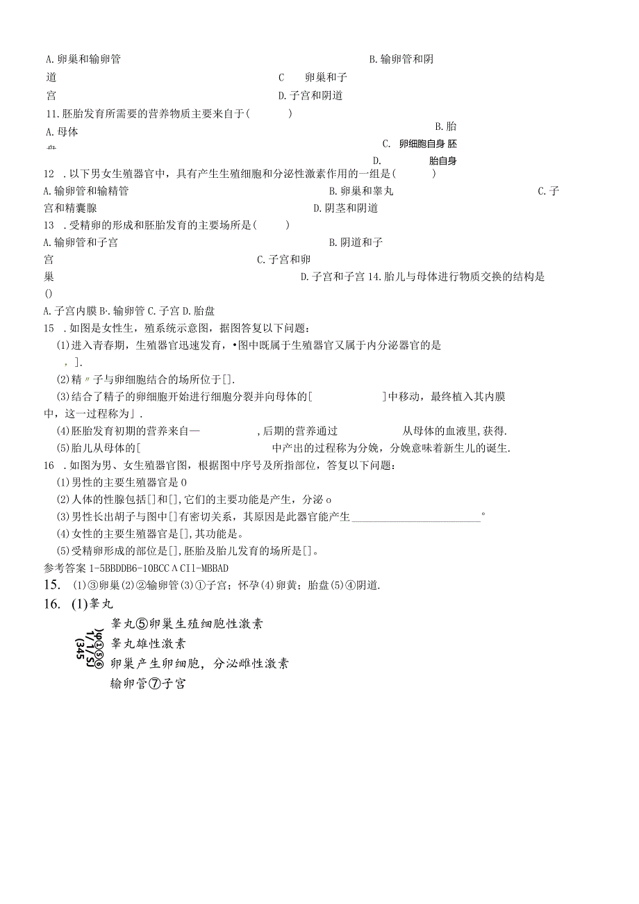 济南版八上第四单元第三章第一节婴儿的诞生复习课测试题.docx_第2页