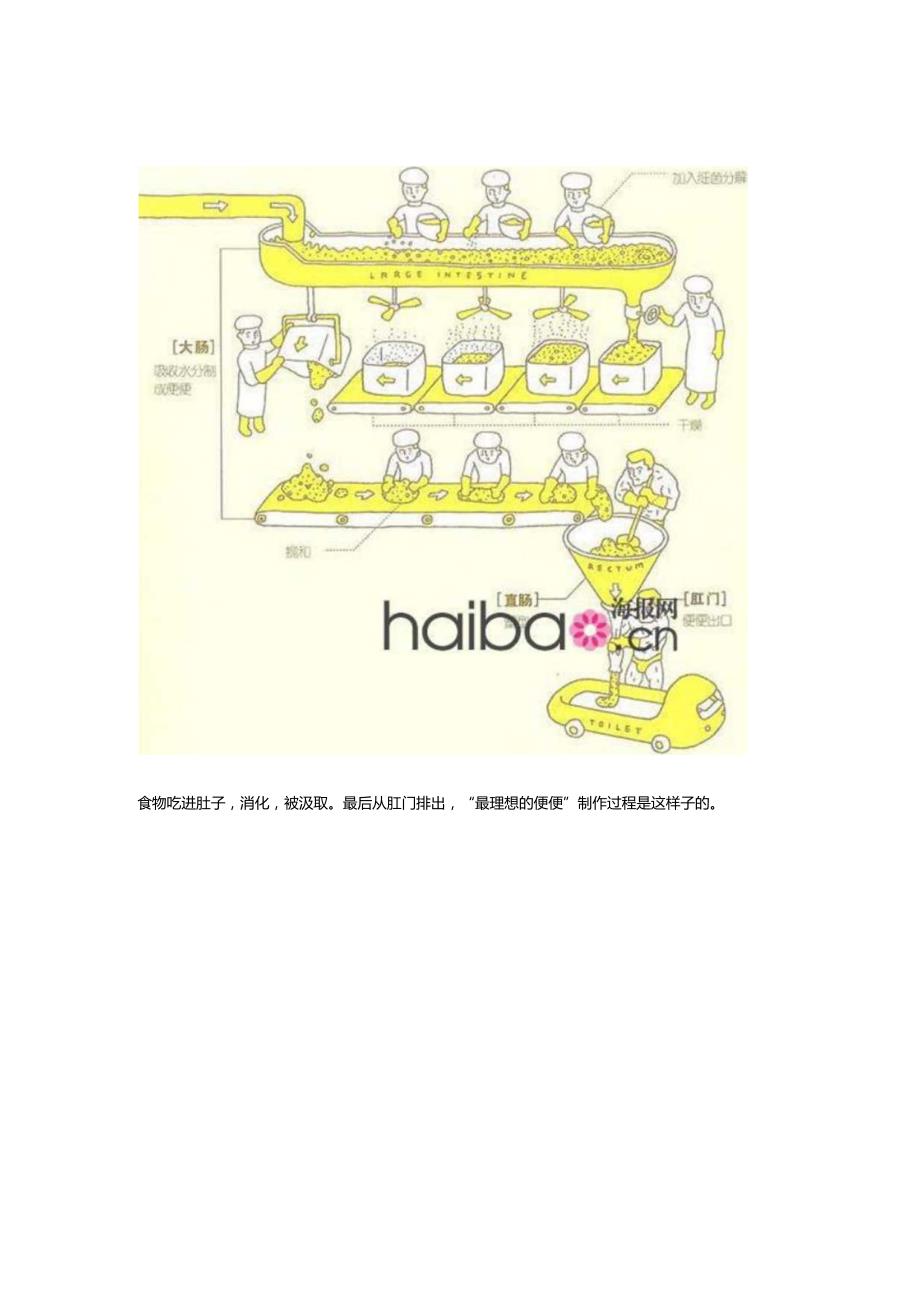 日本超畅销新健康自测手绘本.docx_第2页