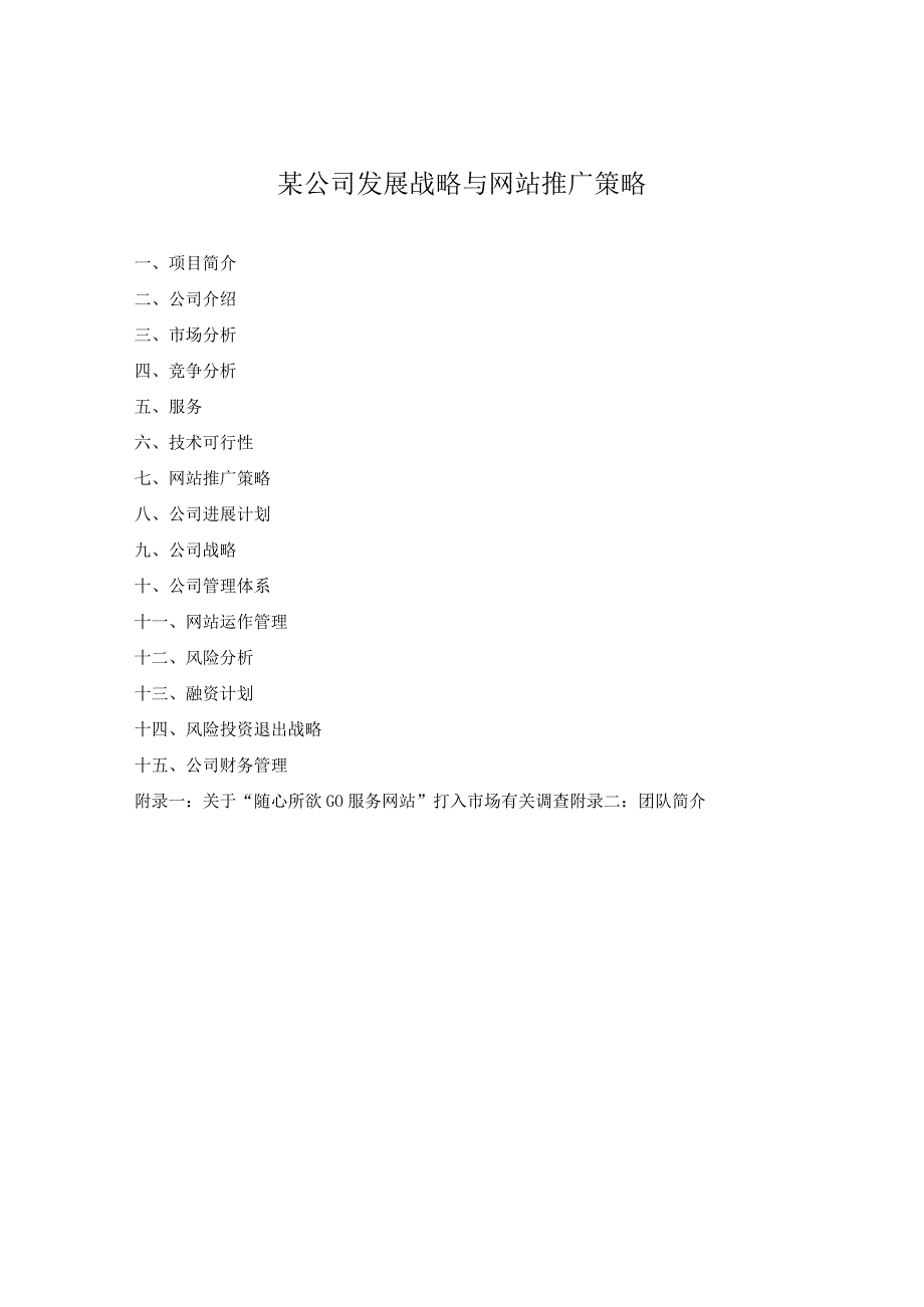 某公司发展战略与网站推广策略.docx_第1页