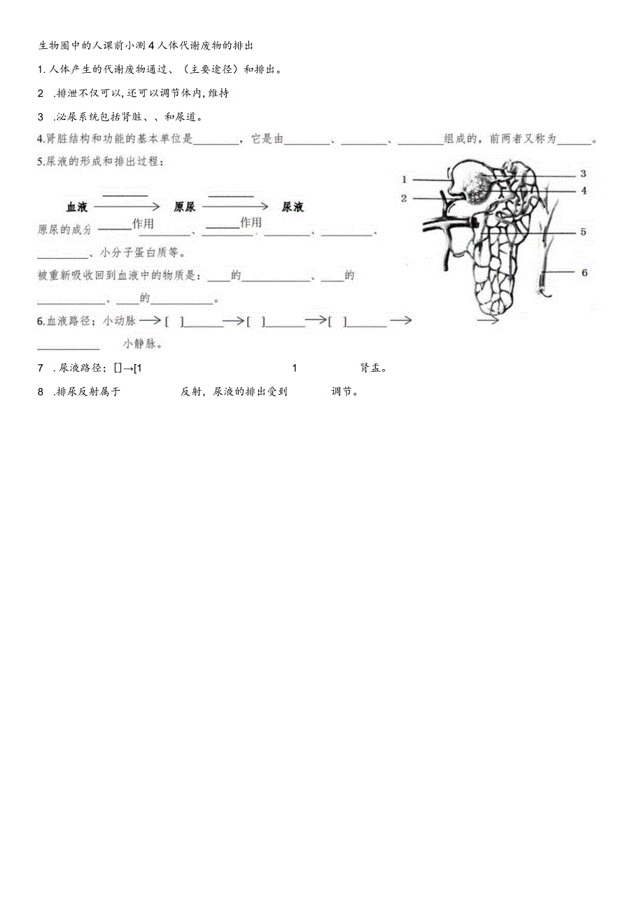 泌尿系统课前小测.docx_第1页