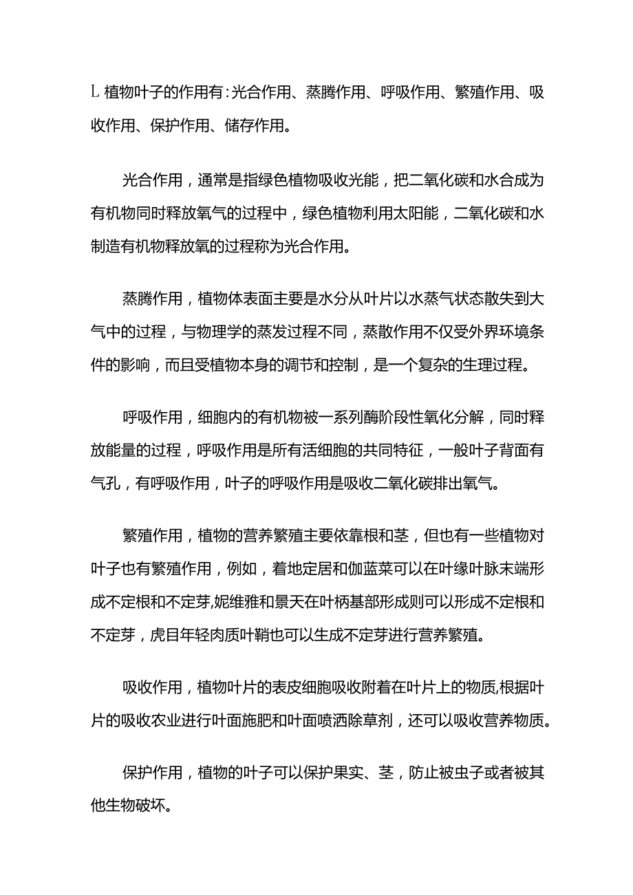 植物的叶子有什么作用.docx_第1页