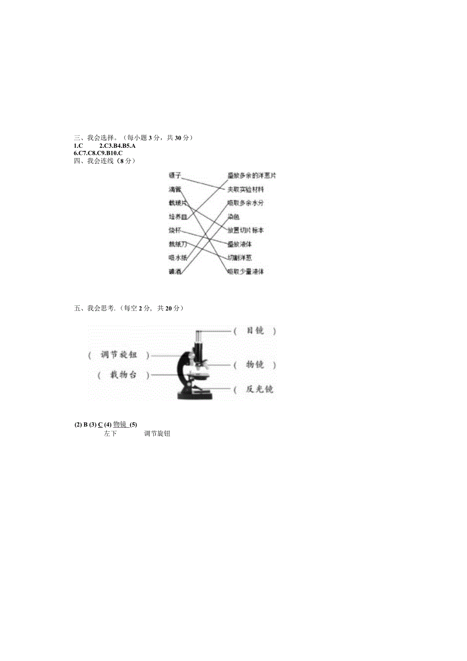 最新教科版小学六年级科学上册第一单元《微小世界》高频考点培优检测卷（附答案）.docx_第3页