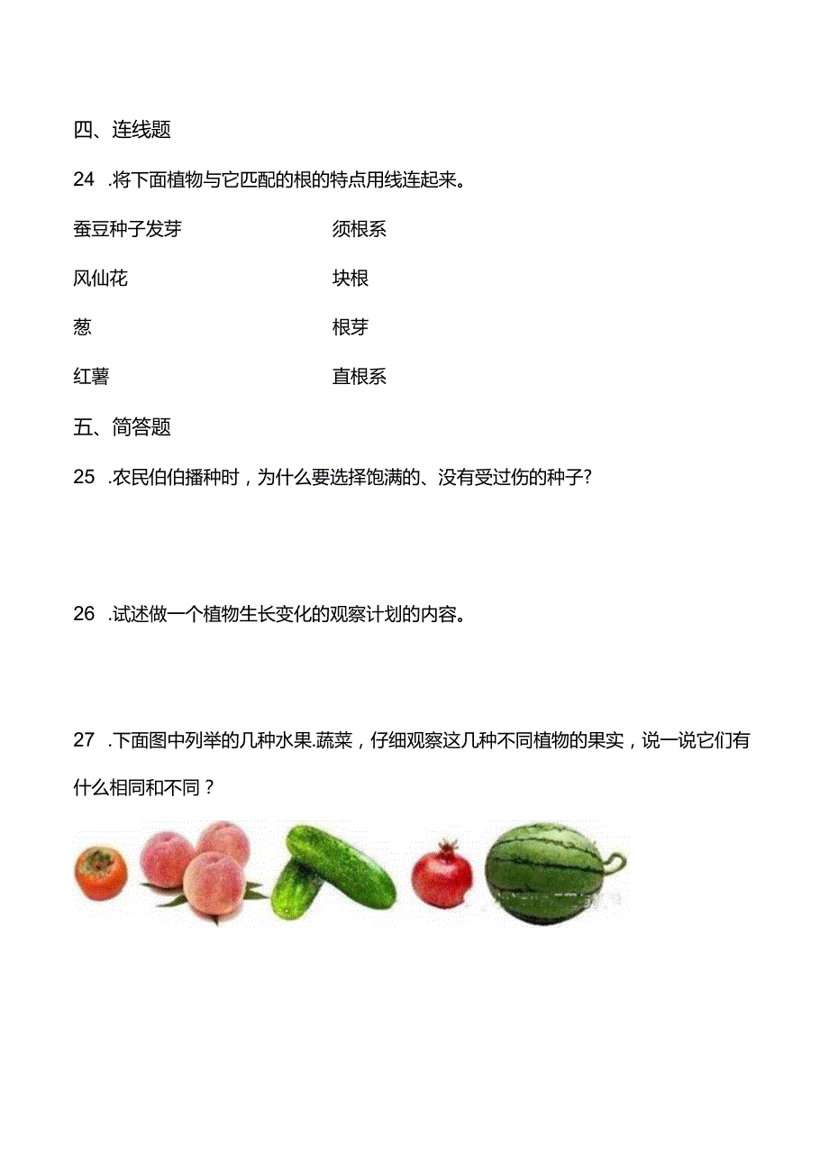 教科版四年级下册科学第一单元植物的生长变化测试题.docx_第3页