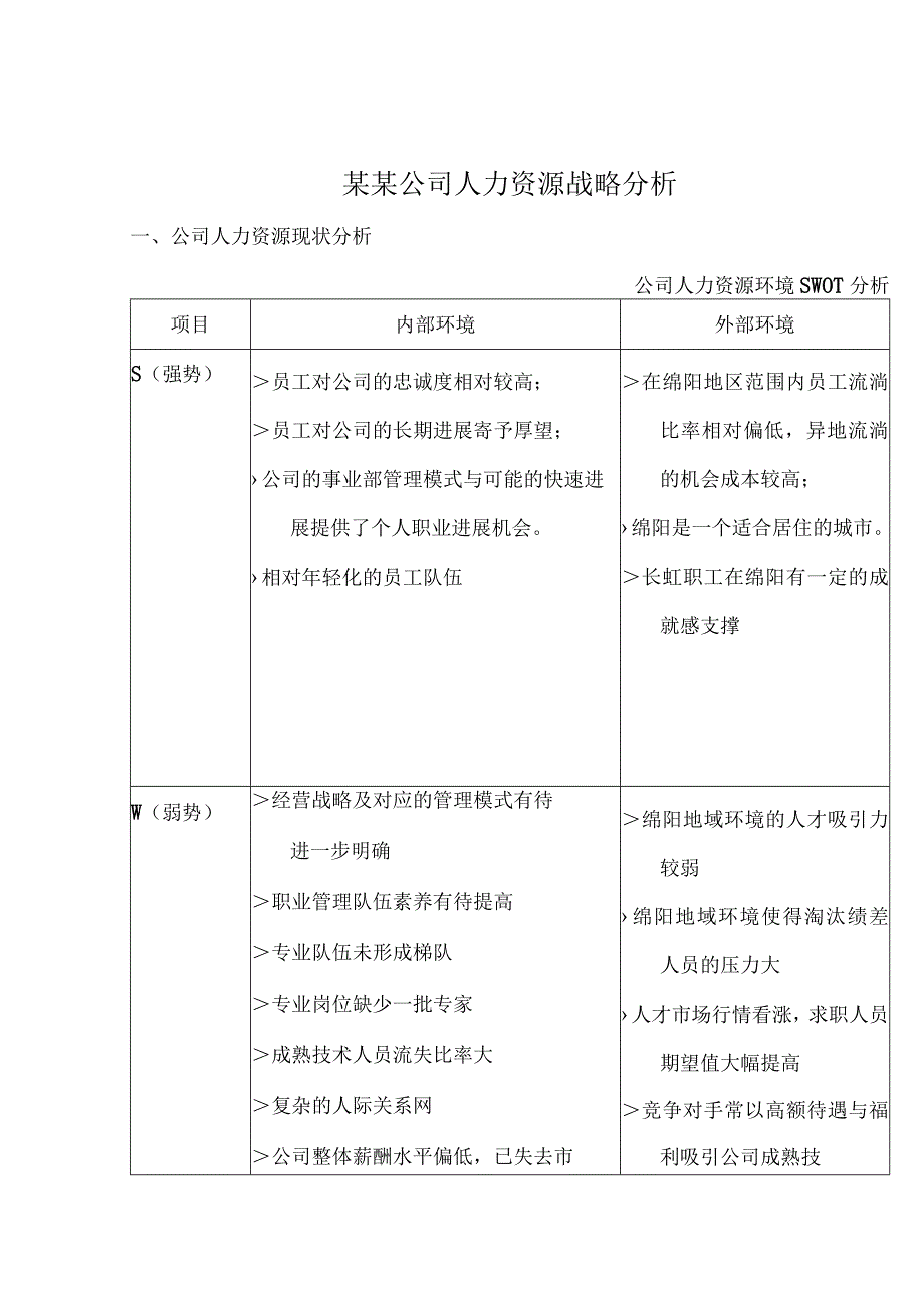 某某公司人力资源战略分析.docx_第1页