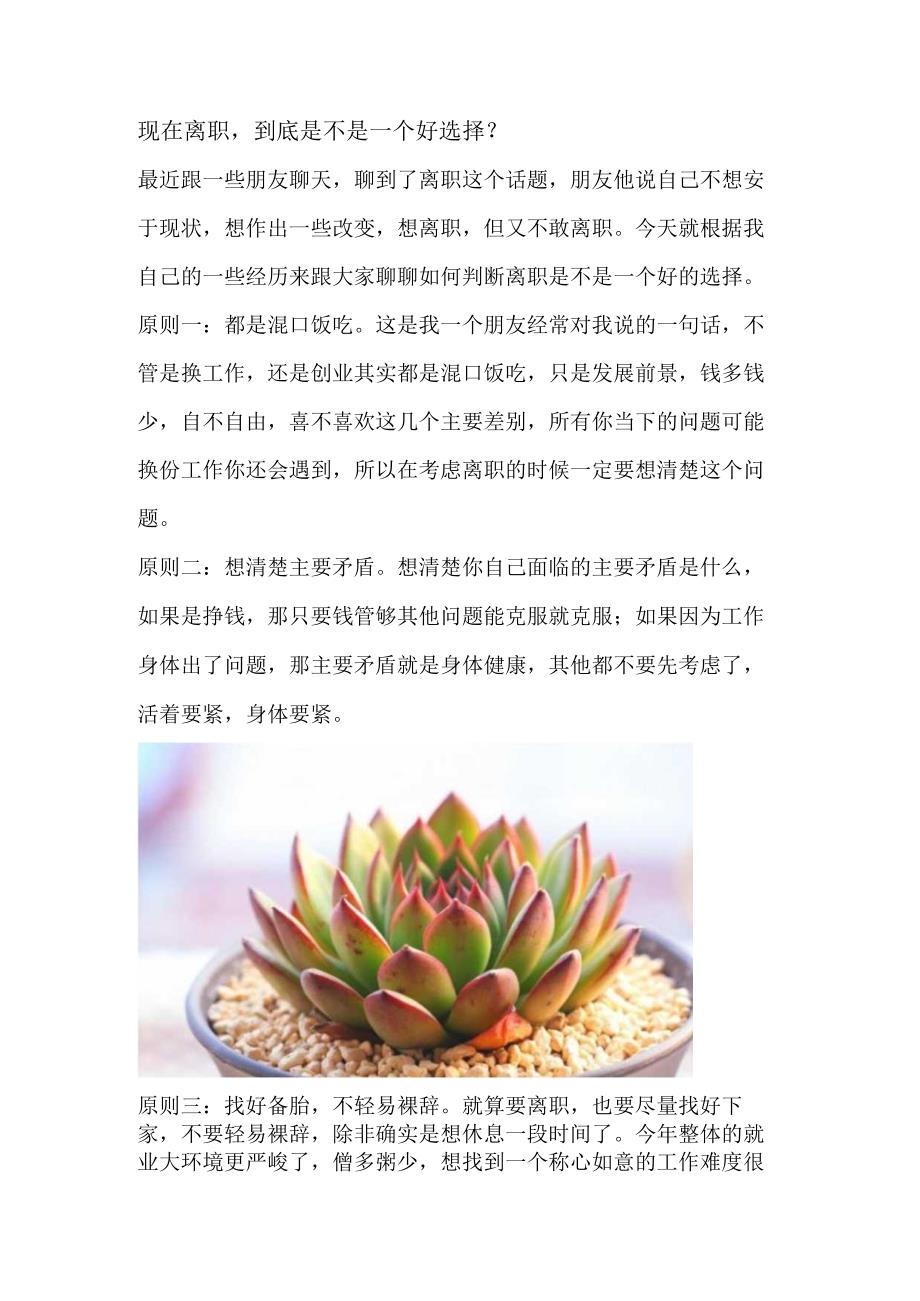 现在离职到底是不是一个好选择？.docx_第1页